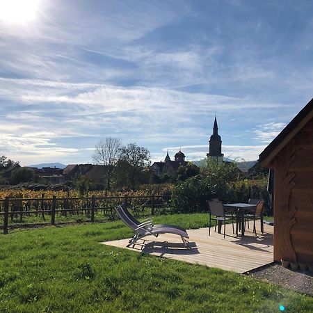 Domaine Rosfelder - Locations De Gite Et Cabane Insolite Gertwiller Exteriör bild