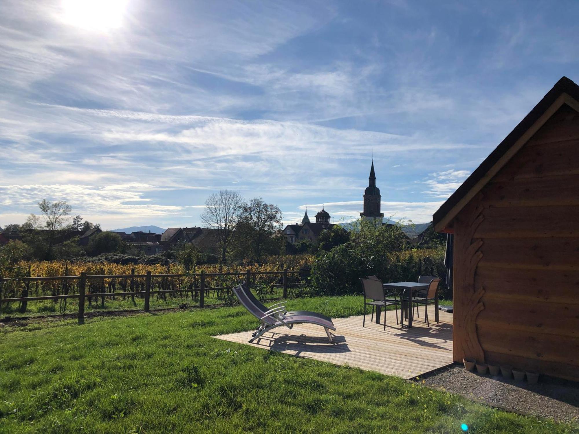 Domaine Rosfelder - Locations De Gite Et Cabane Insolite Gertwiller Exteriör bild