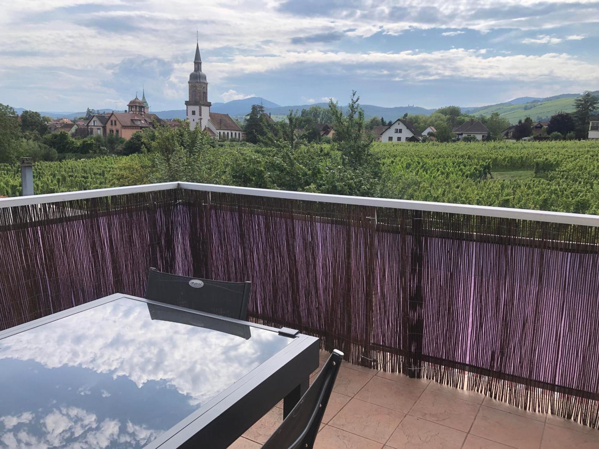 Domaine Rosfelder - Locations De Gite Et Cabane Insolite Gertwiller Exteriör bild
